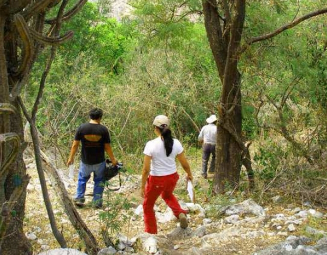  Passeggiate guidate 